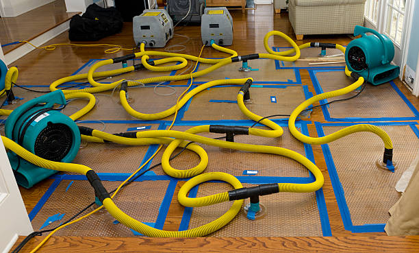 Professional Sewage Cleanup technician working in Fairwater, WI